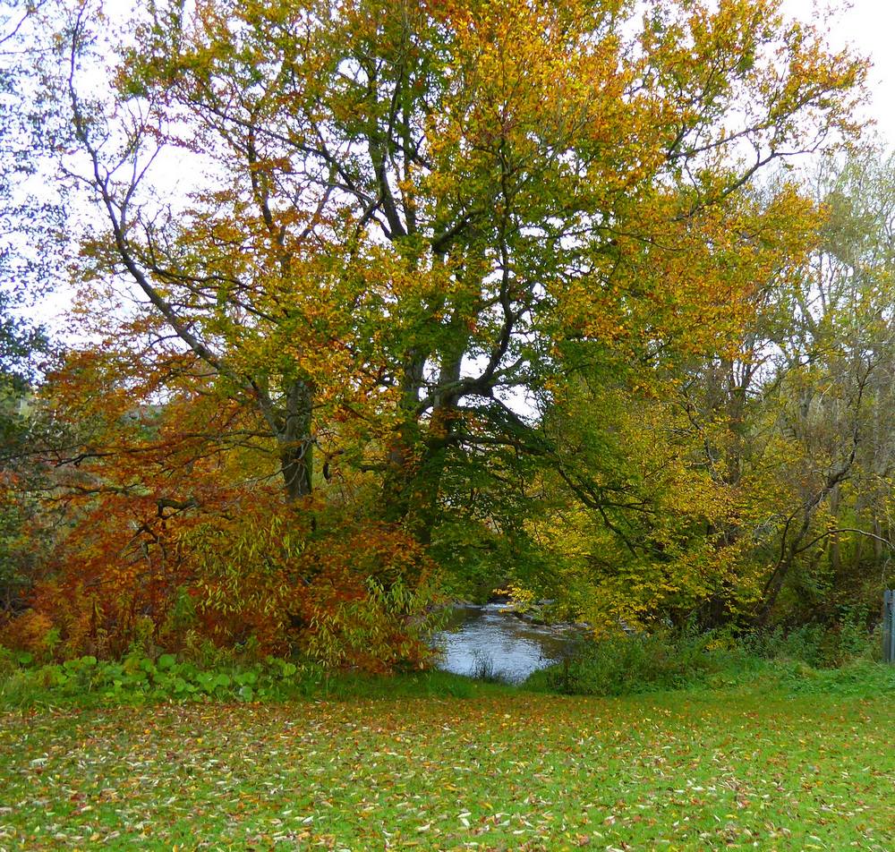 Nethan near Craighead Park